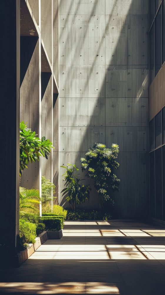 Large building wall outdoors architecture plant.