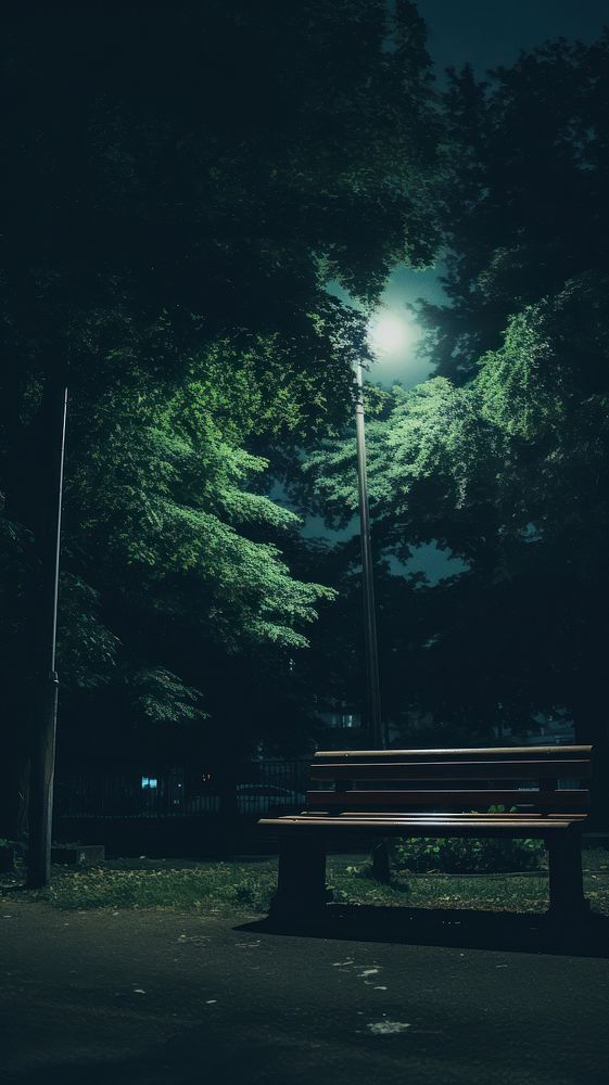 Outdoors nature night bench.