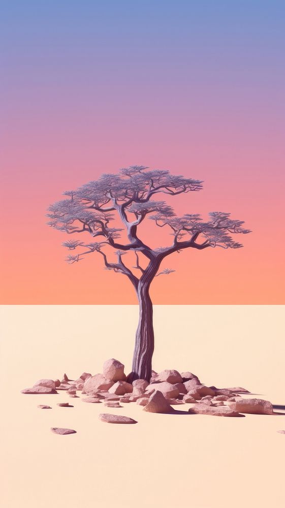 Baobab tree landscape outdoors nature.