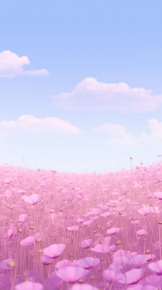 Flower field outdoors blossom nature.