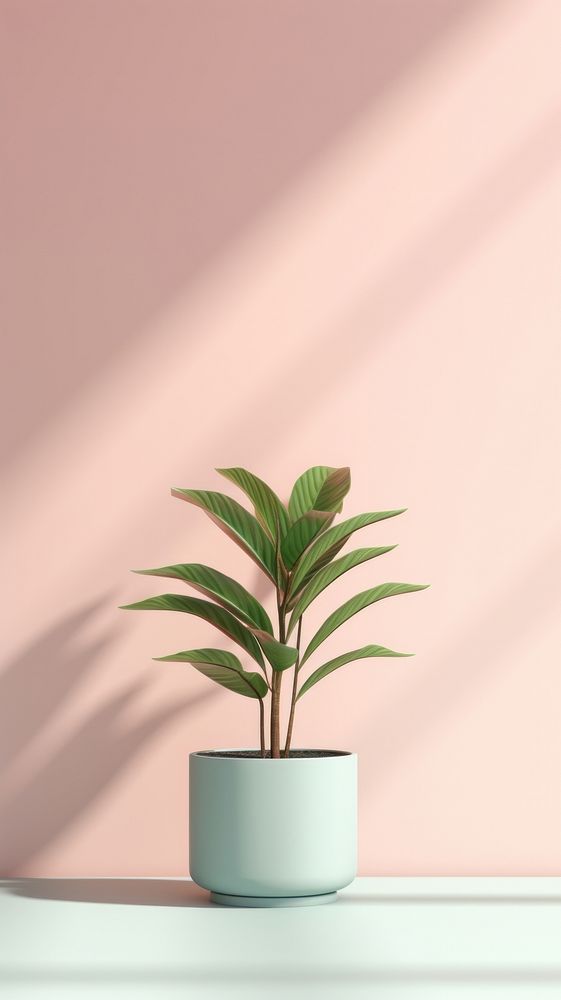 Plant pot leaf vase houseplant.