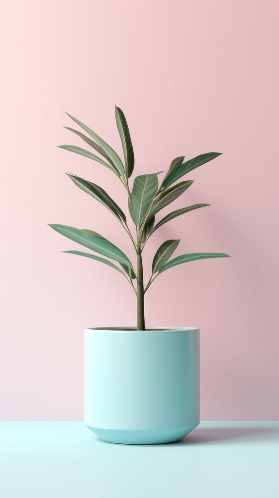 Plant pot flower leaf vase.