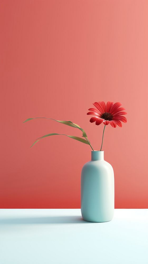 Vase flower petal plant.