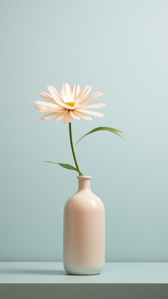Vase flower plant inflorescence.