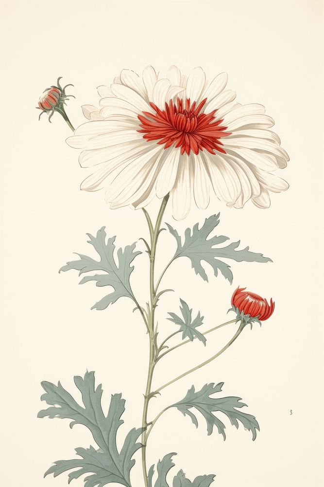 An isolated daisy flower pattern plant.
