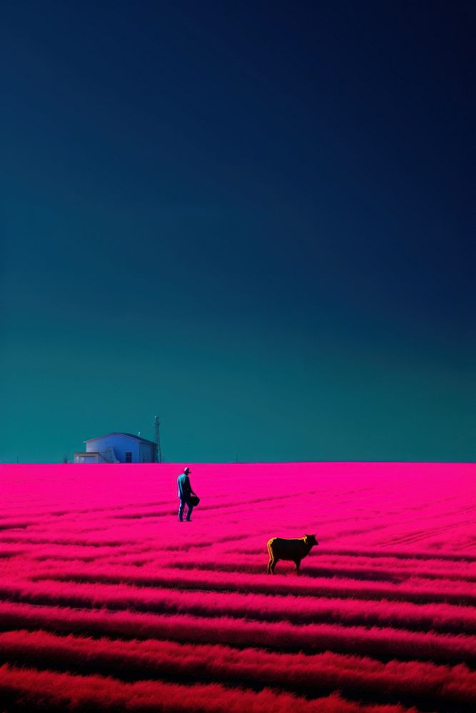 Photo of a man farming landscape outdoors animal.