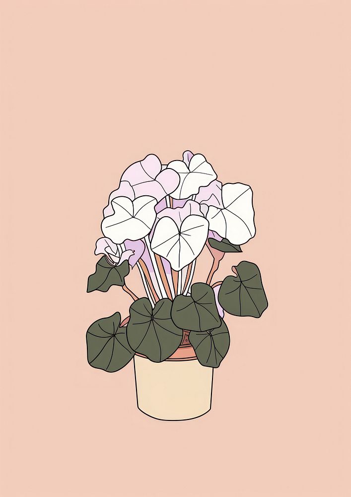 Caladium plant houseplant flower sketch.