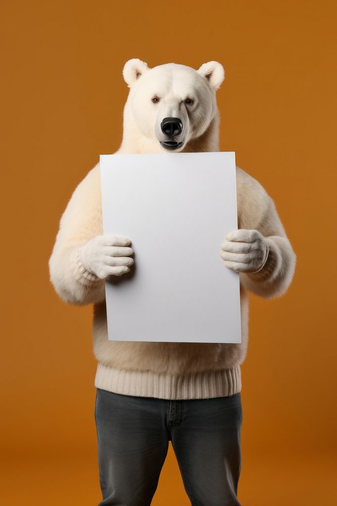 Bear portrait holding mammal.