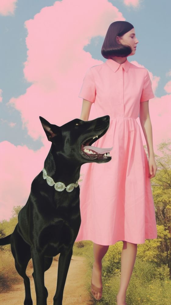 Black dog with pink dress portrait outdoors fashion.
