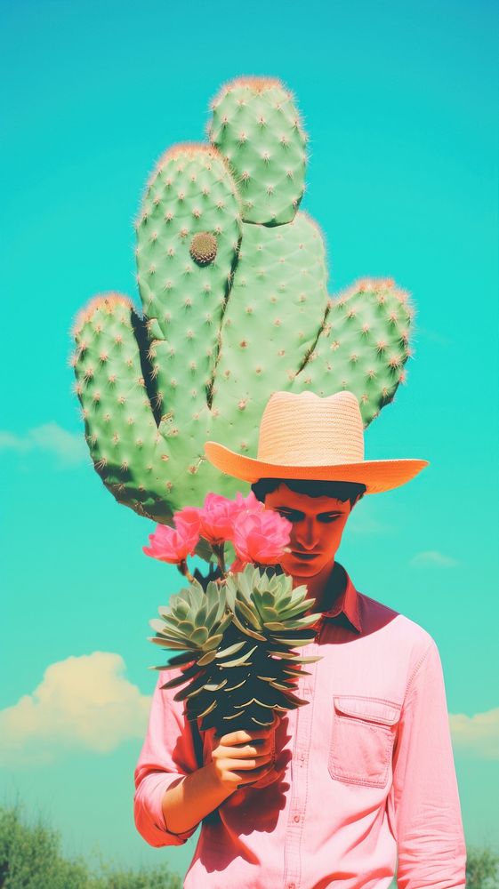 Cactus with hat portrait plant adult.