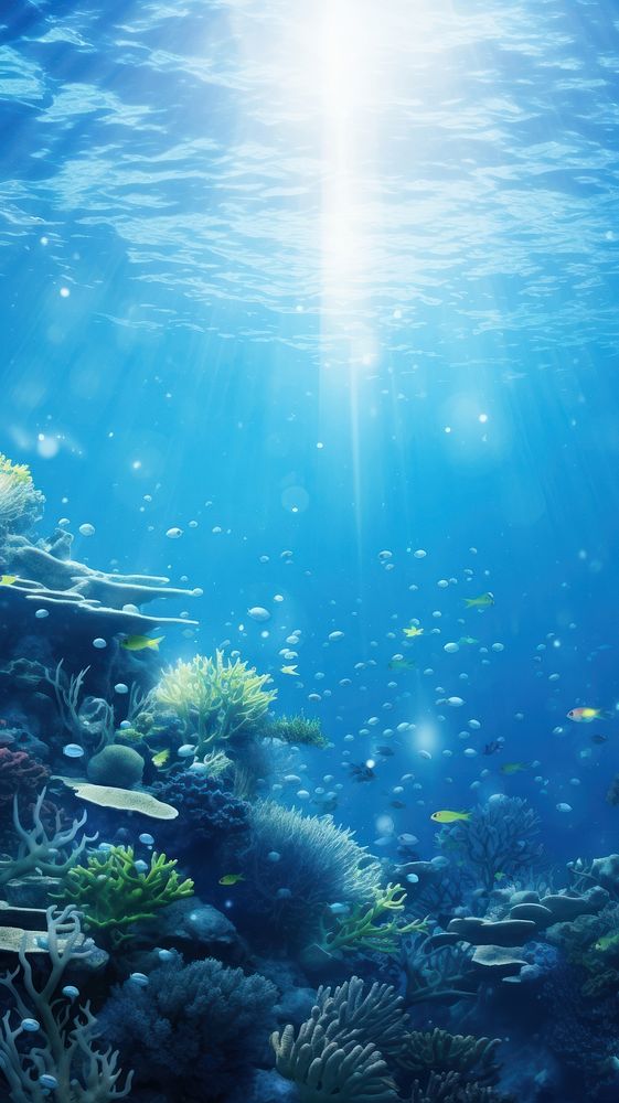 Beautiful underwater backgrounds outdoors nature.