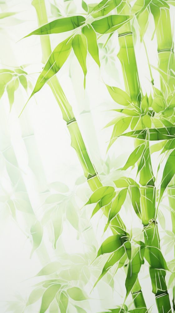 Bamboo backgrounds plant freshness.
