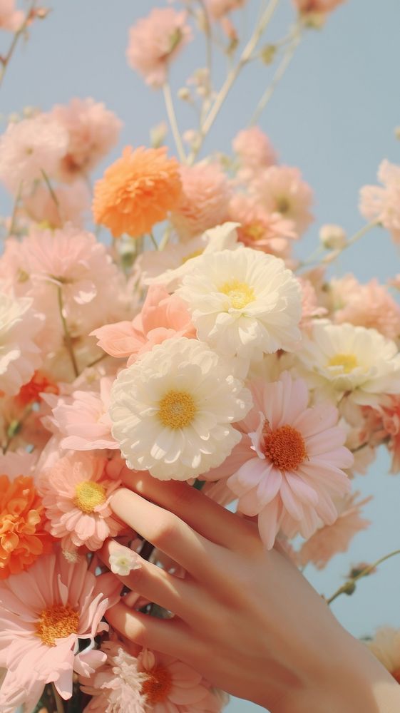 Photography hand holding flowers blossom finger petal.