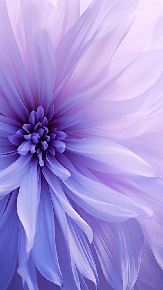 Purple flower background backgrounds abstract purple.