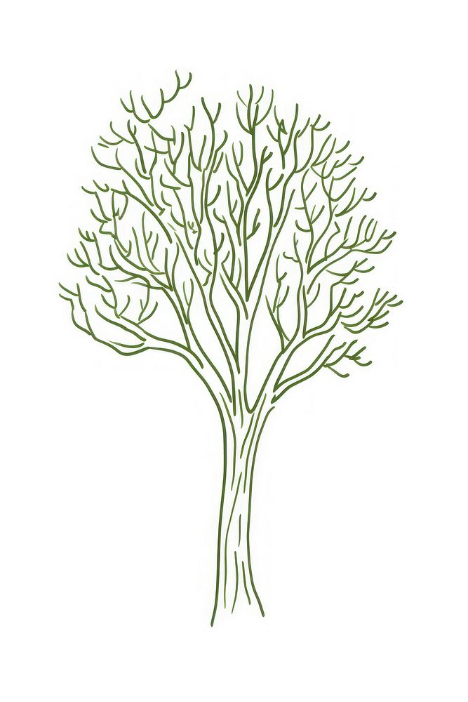 A tree drawing sketch plant.