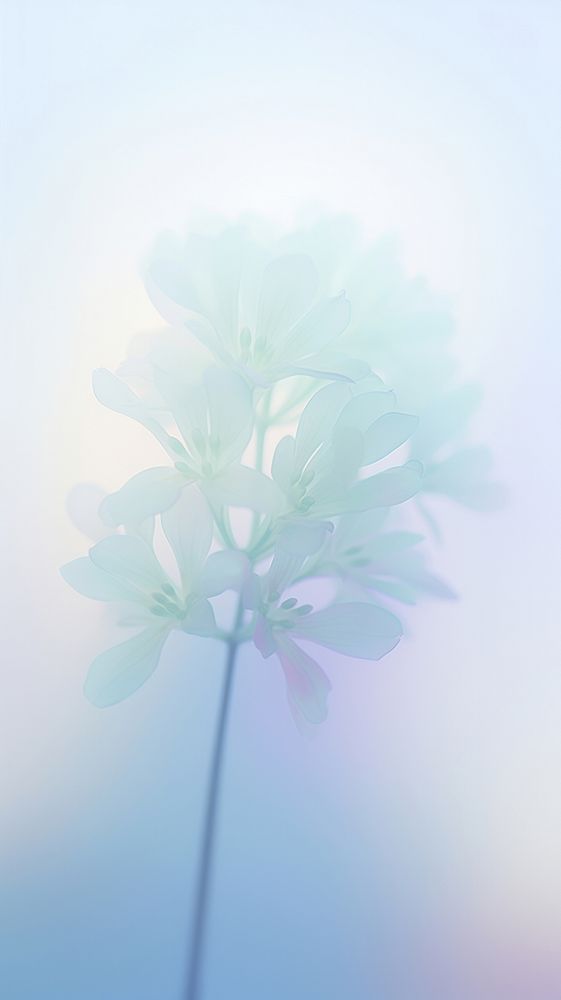 Abstract blurred gradient illustration blue flowers outdoors nature purple.