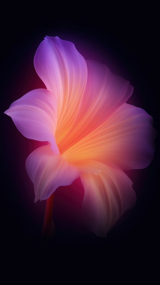 Abstract blurred gradient illustration pink flower purple yellow petal.