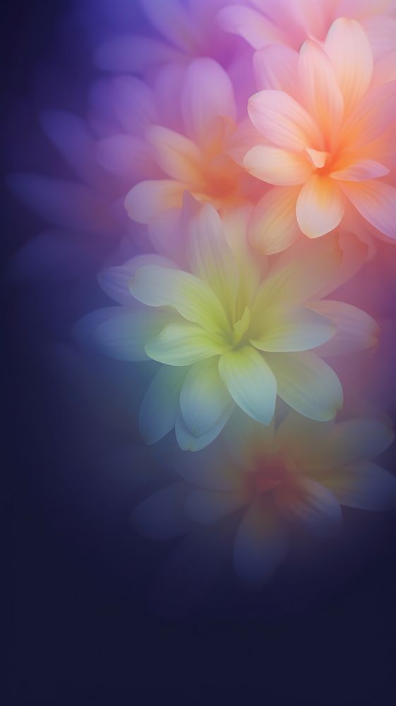 Blurred gradient illustration rainbow flowers backgrounds pattern nature.