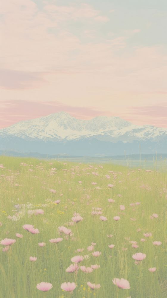 Pastel wallpaper spring meadow flower grass field.