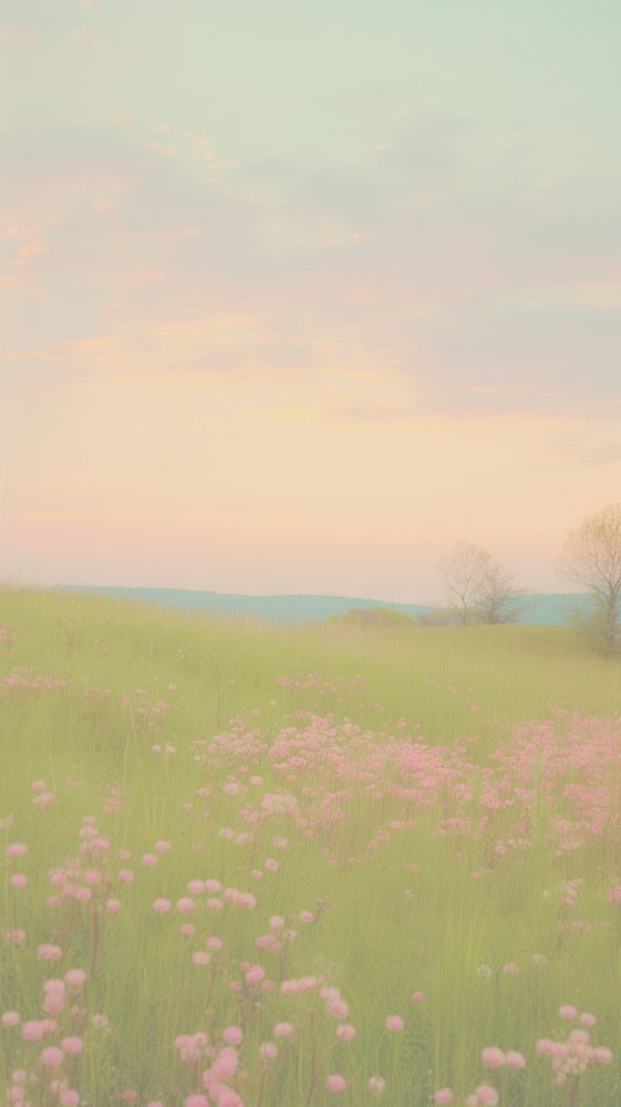 Pastel wallpaper spring hill flower grass field.