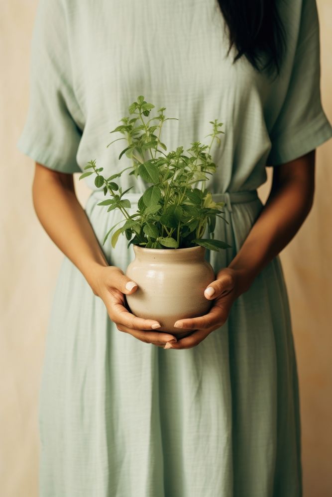 Hands holding herb plant gardening dress adult.