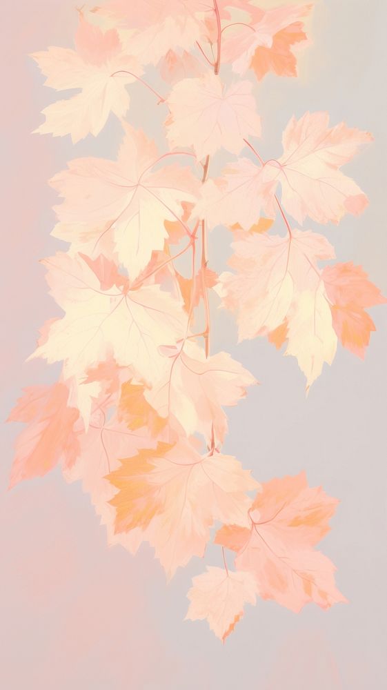 Backgrounds autumn maple plant.