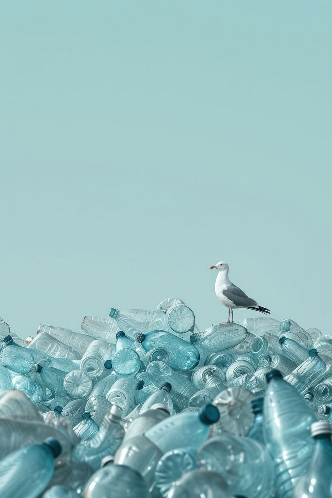 Layers of piles of same blue plastic bottles outdoors seagull animal.