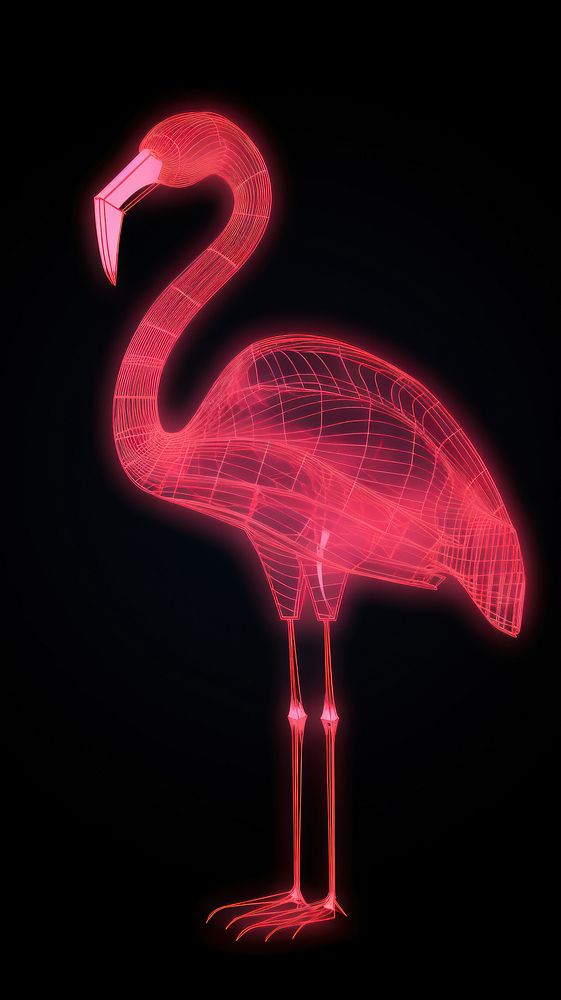 Neon flamingo wireframe animal bird neon.