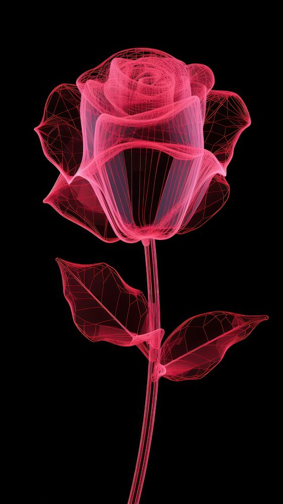 Neon rose wireframe inflorescence accessories fragility.