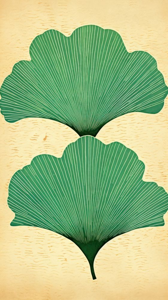 Ginkgo leaf plant wood backgrounds.
