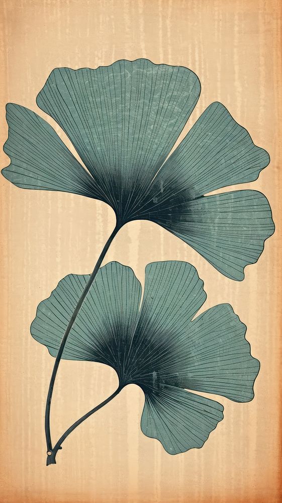 Unique ginkgo leaf plant art pattern.