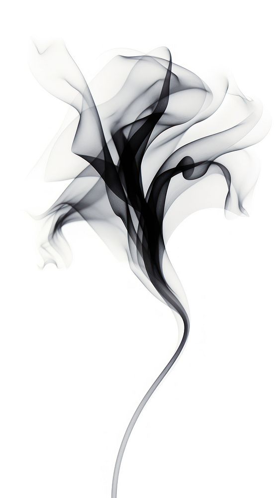 Abstract smoke white black white background.