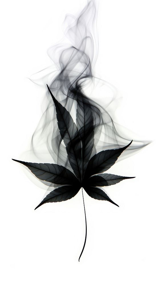 Abstract smoke leaf plant black.