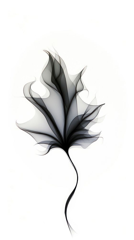 Abstract smoke leaf pattern plant.