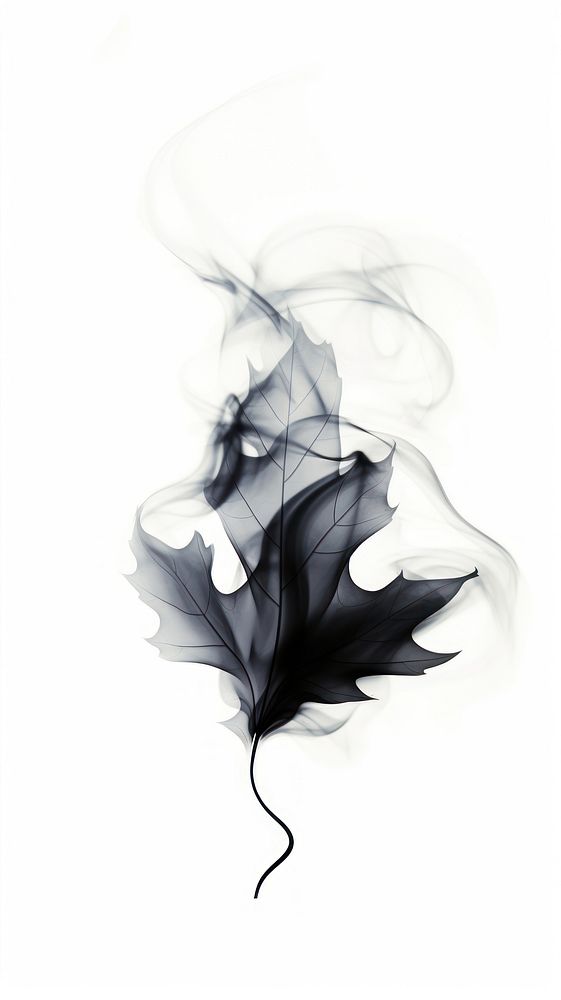 Abstract smoke leaf black white.