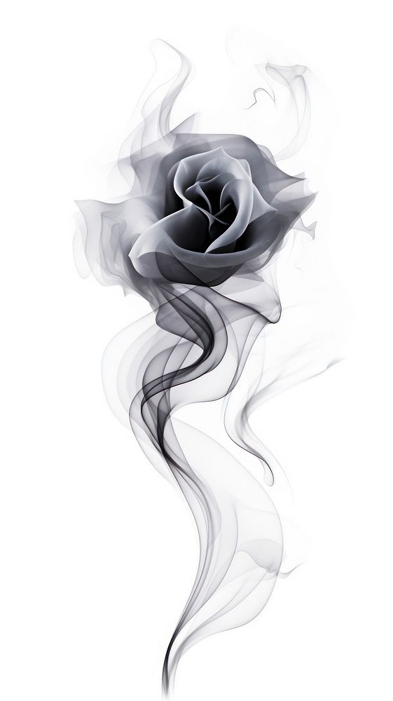 Abstract smoke rose white background creativity.