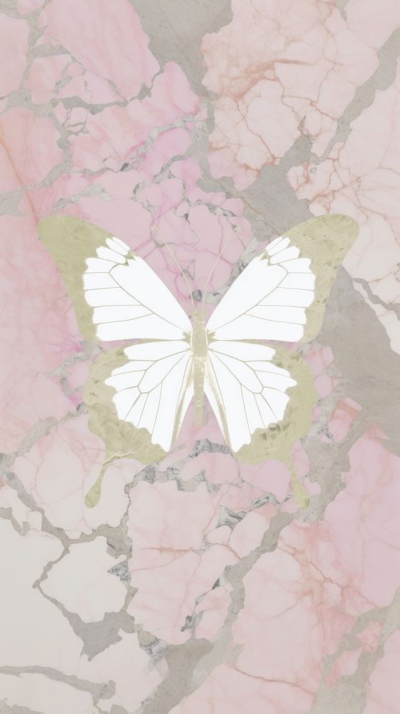 Butterfly marble wallpaper backgrounds abstract fragility.