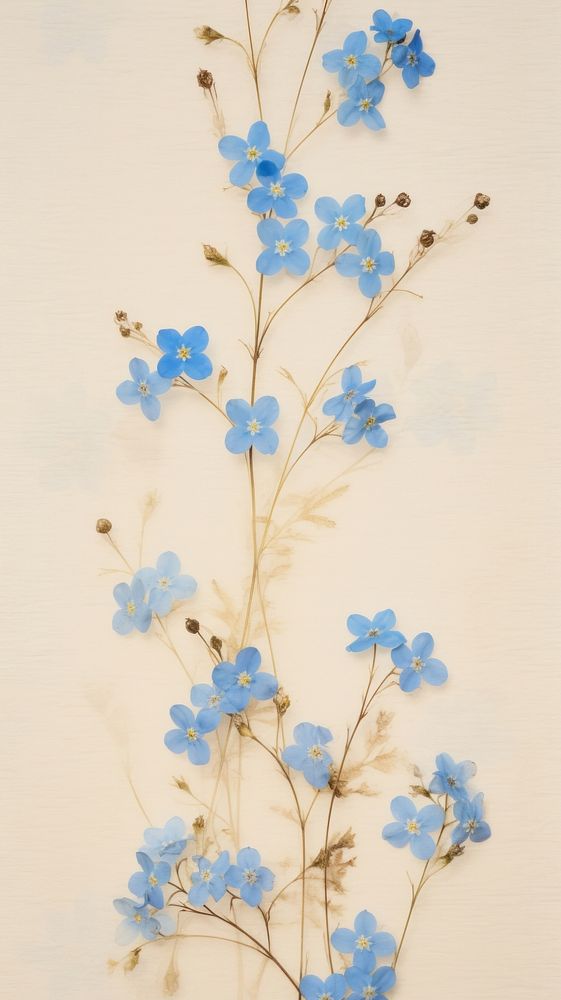 Forget me not flower pattern plant.