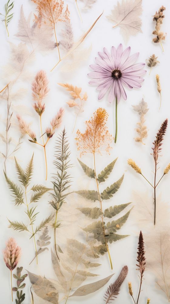 Real pressed foliage flower herbs backgrounds.