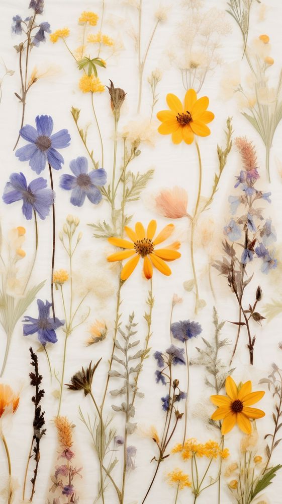 Real pressed spring flowers backgrounds pattern plant.