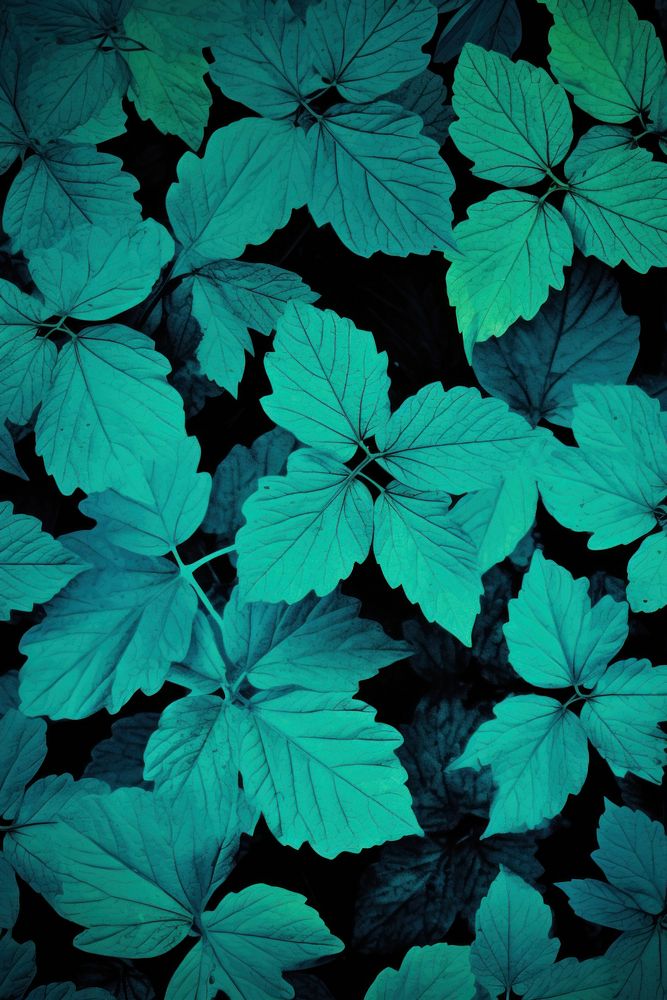 Background of leafs backgrounds plant green.