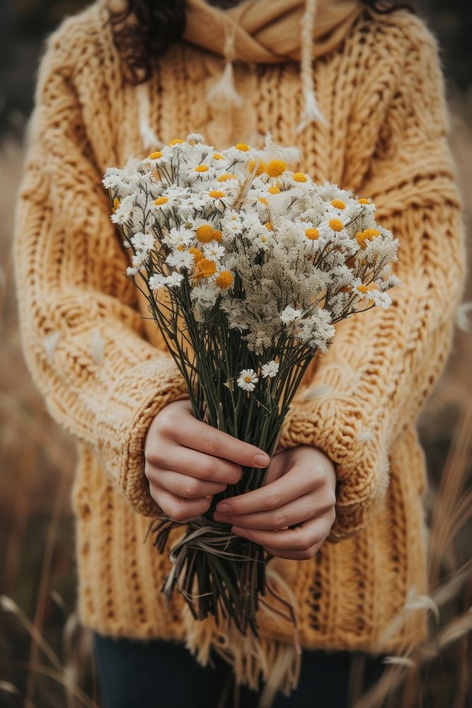 Person holding flowers plant daisy inflorescence.