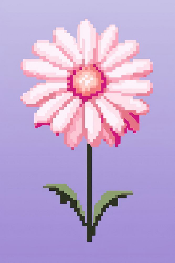 Aster flower pixel blossom petal plant.