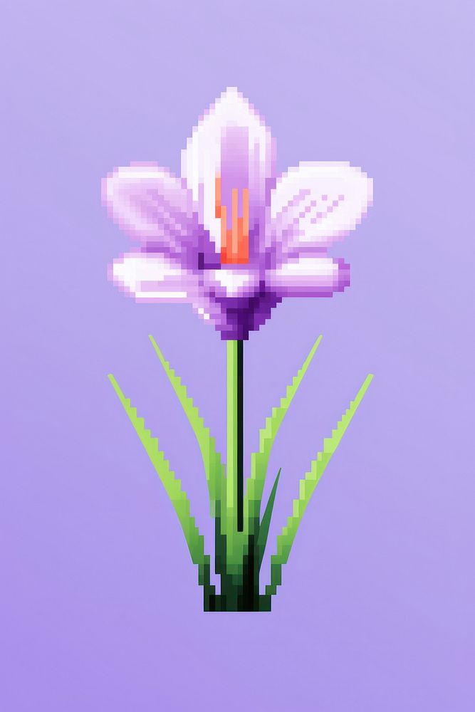 Crocus flower pixel blossom crocus plant.