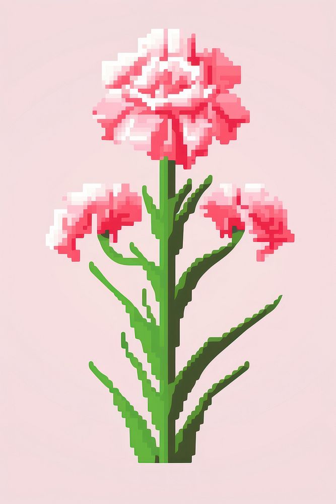 Dianthus flower pixel plant art inflorescence.