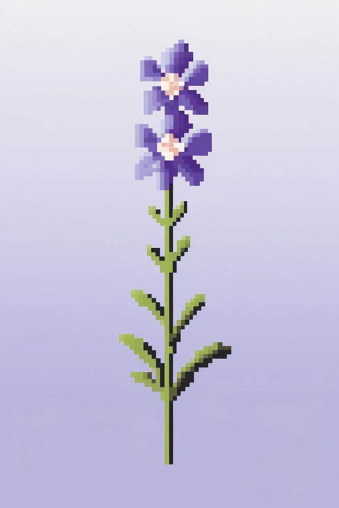 False Indigo flower pixel lavender blossom purple.