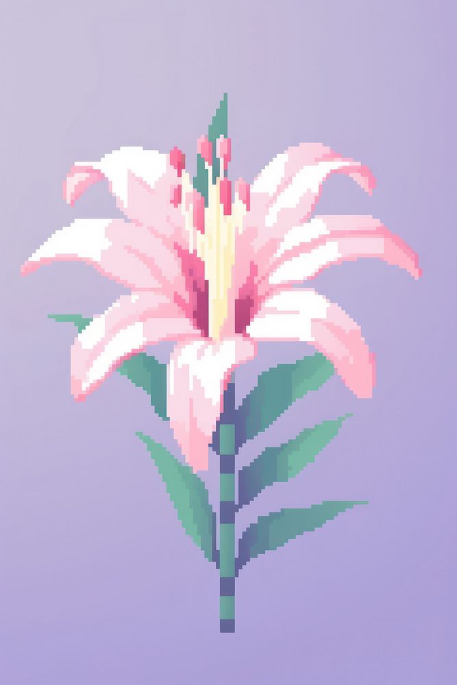 Lily flower pixel blossom plant inflorescence.