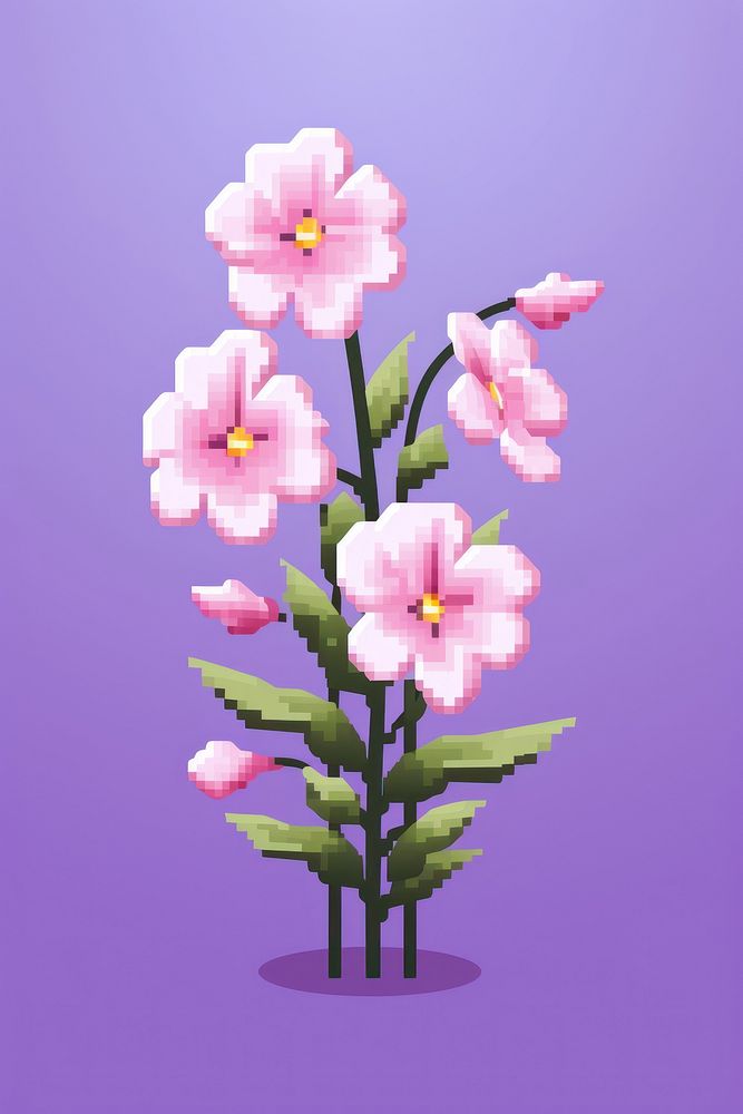 Phlox flower pixel blossom plant petal.