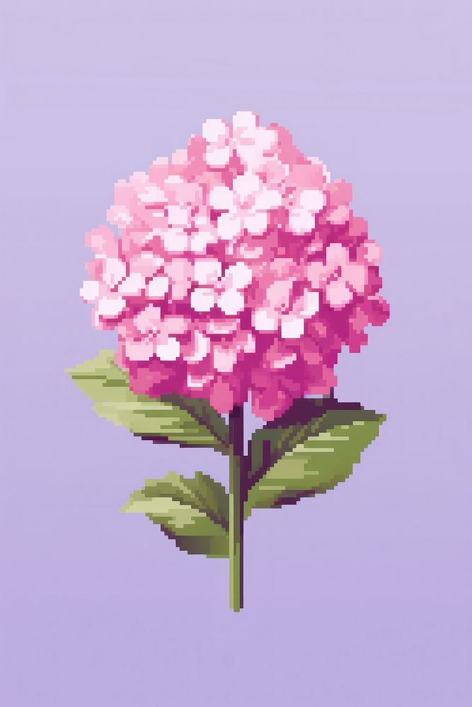 Pink Hydrangea flower pixel hydrangea | Premium Photo Illustration ...