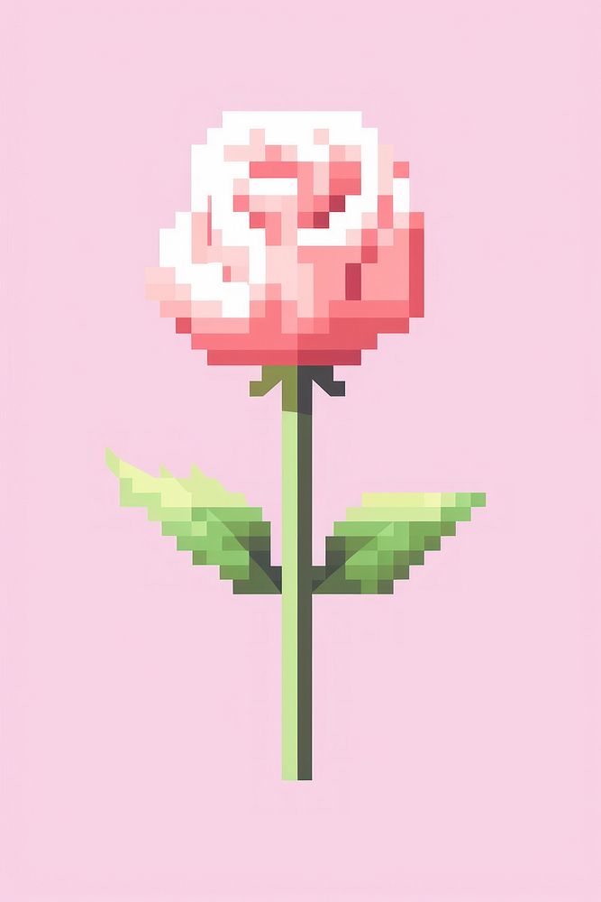 Rose flower pixel plant inflorescence springtime.